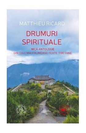 Drumuri spirituale - Matthieu Ricard