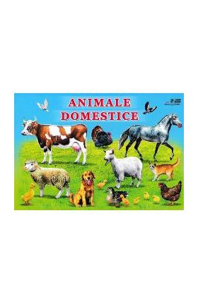 Animale domestice