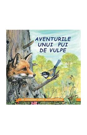 Aventurile unui pui de vulpe - Sa cunoastem lumea inconjuratoare!