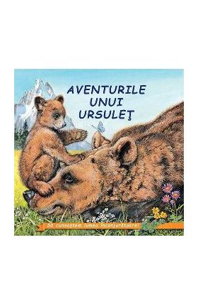 Aventurile unui ursulet - Sa cunoastem lumea inconjuratoare!