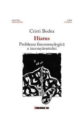 Hiatus. Problema fenomenologica a inconstientului - Cristi Bodea