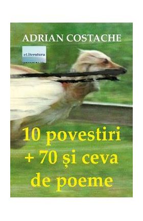 10 povestiri + 70 si ceva de poeme - Adrian Costache