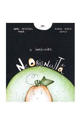O intalnire neobisnuita - Dana Cristiana Maier, Flavia Maria Chiper