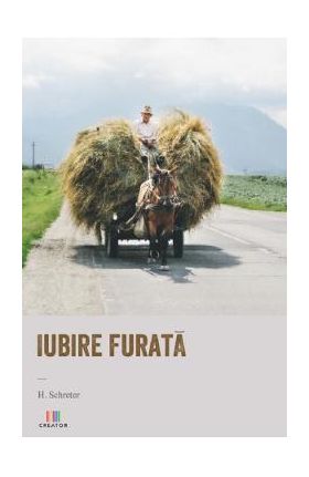 Iubire furata - H. Schreter