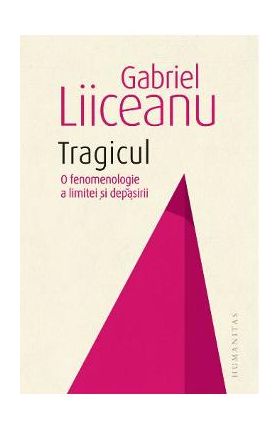 Tragicul. O fenomenologie a limitei si depasirii - Gabriel Liiceanu