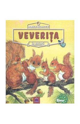 Animale salbatice in natura: Veverita - Renne