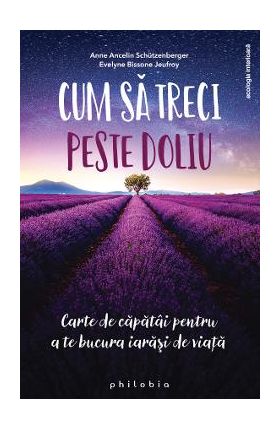 Cum sa treci peste doliu - Anne Ancelin Schutzenberger, Evelyne Bissone Jeufroy