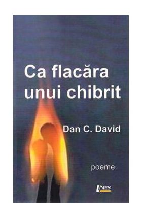 Ca flacara unui chibrit - Dan C. David