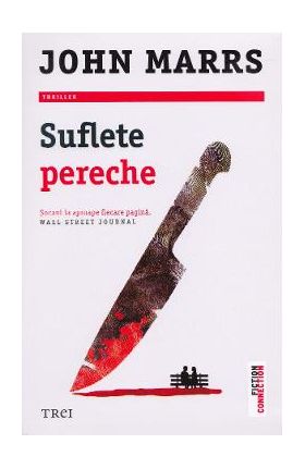 Suflete pereche - John Marrs