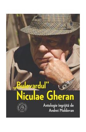 Bulevardul Niculae Gheran - Andrei Moldovan