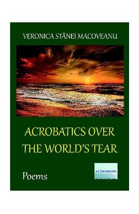 Acrobatics over the World's Tear - Veronica Stanei Macoveanu