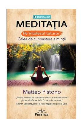 Meditatia pe intelesul tuturor - Matteo Pistono