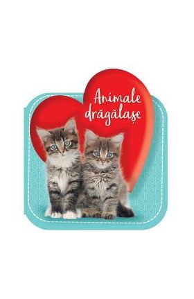Animale dragalase