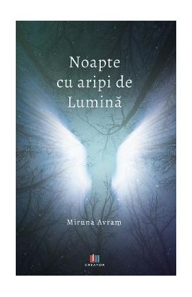 Noapte cu aripi de lumina - Miruna Avram