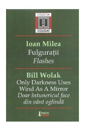 Fulguratii. Flashes - Ioan Milea