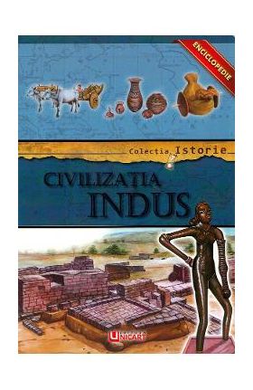 Colectia Istorie: Civilizatia Indus