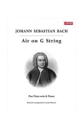 Air on G String - Johann Sebastian Bach - Nai si pian