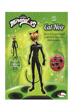 Eu sunt Cat Noir