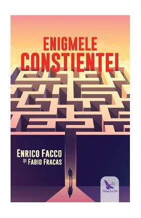 Enigmele constientei - Enrico Facco, Fabio Fracas