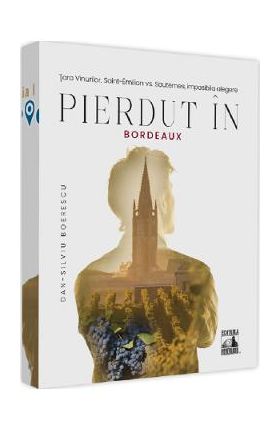 Pierdut in Bordeaux - Dan-Silviu Boerescu