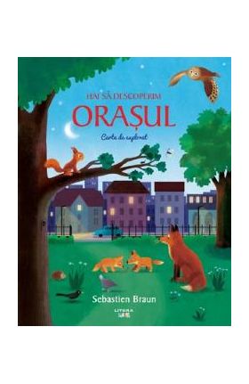 Hai sa descoperim orasul. Carte de explorat - Sebastien Braun