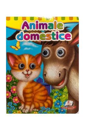 Animale domestice. Ochisori