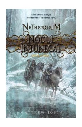 Nodul intunecat. Seria Nethergrim. Vol.3 - Matthew Jobin