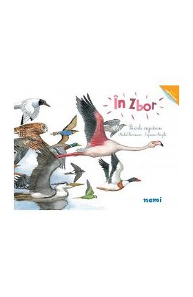 In zbor. Pasarile migratoare - Capucine Mazille, Michel Francesconi