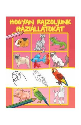 Hogyan rajzoljunk haziallatokat. Cum sa desenam animale de companie