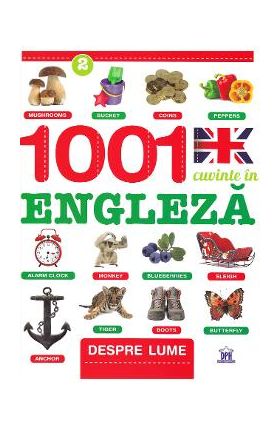 1001 cuvinte in engleza despre lume