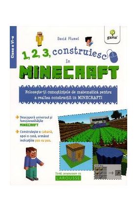 1, 2, 3, construiesc in Minecraft - David Plumel