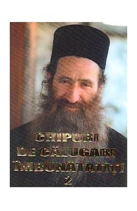Chipuri de calugari imbunatatiti vol 2 - Ioanichie Balan