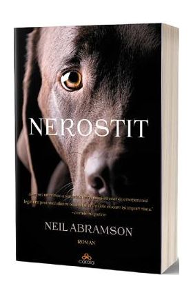Nerostit - Neil Abramson
