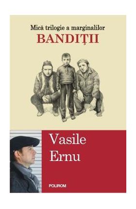 Banditii - Vasile Ernu