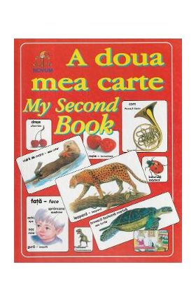 A doua mea carte. My Second Book