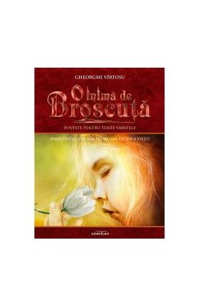 O inima de broscuta Vol.8: Simplitatea, cea mai frumoasa lectie a vietii - Gheorghe Virtosu