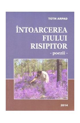 Intoarcerea fiului risipitor - Toth Arpad