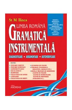 Gramatica instrumentala - St. M. Ilinca