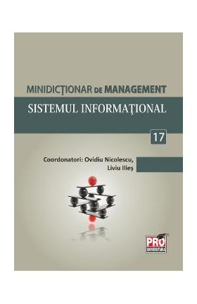 Minidictionar de management 17: Sistemul informational - Ovidiu Nicolescu