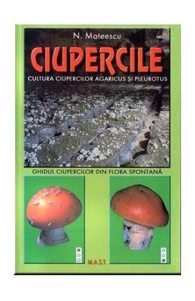 Ciupercile - N. Mateescu