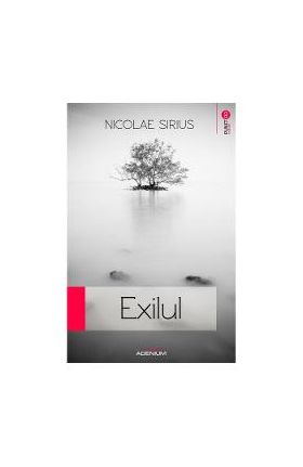 Exilul - Nicolae Sirius