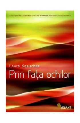 Prin fata ochilor - Laura Kasischke