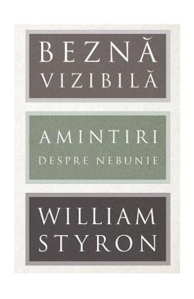 Bezna vizibila - William Styron