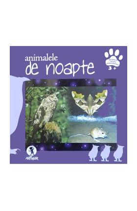Animalele de noapte