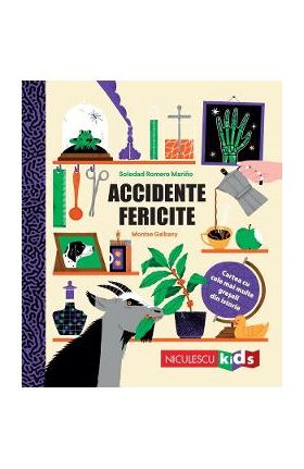 Accidente fericite - Soledad Romero Marino, Montse Galbany