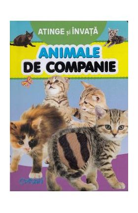 Atinge si invata. Animale de companie