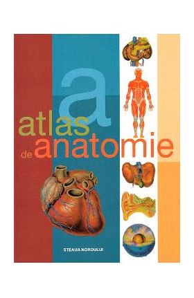 Atlas de anatomie - Dr. Adolfo Cassan