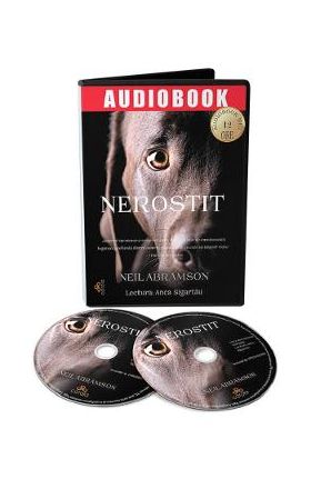 Audiobook. Nerostit - Neil Abramson