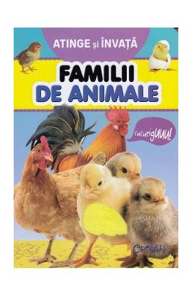 Atinge si invata. Familii de animale