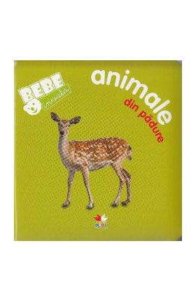 Bebe invata - Animale din padure